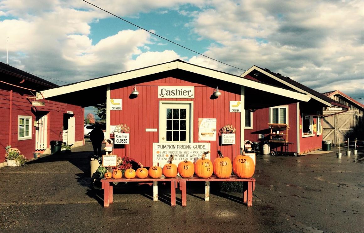 Pumpkins, Pedaling and Pie A Perfect Fall Day in Snohomish ParentMap